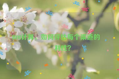 ROI計算，如何評估每個渠道的盈利性？