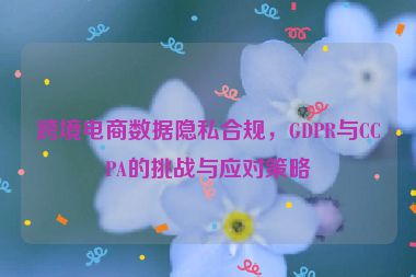 跨境電商數(shù)據(jù)隱私合規(guī)，GDPR與CCPA的挑戰(zhàn)與應(yīng)對策略
