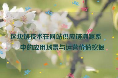 區(qū)塊鏈技術在網(wǎng)站供應鏈溯源系統(tǒng)中的應用場景與運營價值挖掘