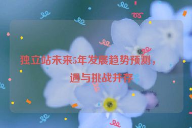 獨(dú)立站未來5年發(fā)展趨勢(shì)預(yù)測(cè)，機(jī)遇與挑戰(zhàn)并存