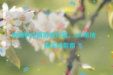 電商供應(yīng)商協(xié)同方案，ERP系統(tǒng)對(duì)接實(shí)戰(zhàn)指南