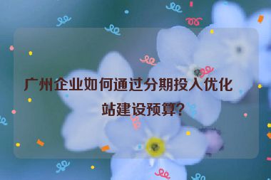 廣州企業(yè)如何通過(guò)分期投入優(yōu)化網(wǎng)站建設(shè)預(yù)算？