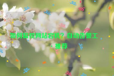 如何監(jiān)控網(wǎng)站宕機？自動告警工具推薦