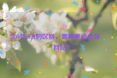 SEO與SEM的區(qū)別，哪種更適合你的網(wǎng)站？
