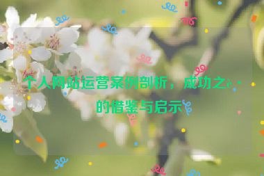 個(gè)人網(wǎng)站運(yùn)營(yíng)案例剖析，成功之路的借鑒與啟示