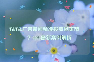 TikTok廣告如何精準投放歐美市場？2024最新案例解析