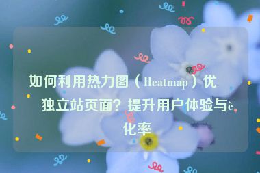如何利用熱力圖（Heatmap）優(yōu)化獨立站頁面？提升用戶體驗與轉(zhuǎn)化率