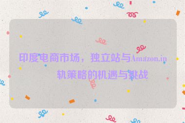 印度電商市場，獨立站與Amazon.in雙軌策略的機遇與挑戰(zhàn)