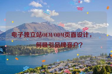電子獨(dú)立站OEM/ODM頁面設(shè)計(jì)，如何吸引品牌客戶？