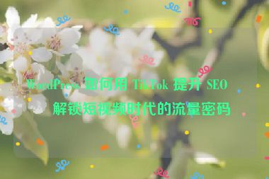 WordPress 如何用 TikTok 提升 SEO？解鎖短視頻時代的流量密碼