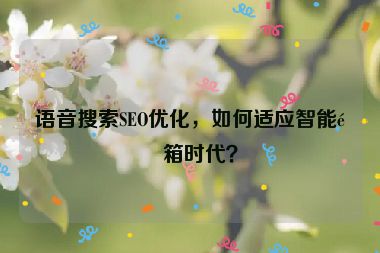 語音搜索SEO優(yōu)化，如何適應(yīng)智能音箱時代？