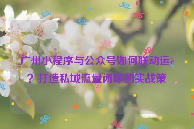 廣州小程序與公眾號如何聯動運營？打造私域流量閉環(huán)的實戰(zhàn)策略
