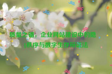 質(zhì)量之錨，企業(yè)網(wǎng)站建設(shè)中的隱性秩序與數(shù)字生存辯證法