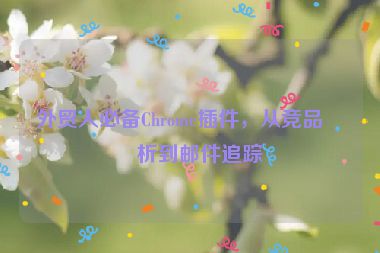 外貿(mào)人必備Chrome插件，從競品分析到郵件追蹤