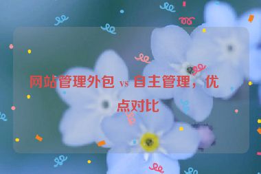 網(wǎng)站管理外包 vs 自主管理，優(yōu)缺點對比