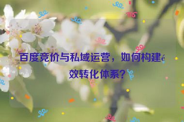 百度競(jìng)價(jià)與私域運(yùn)營(yíng)，如何構(gòu)建長(zhǎng)效轉(zhuǎn)化體系？