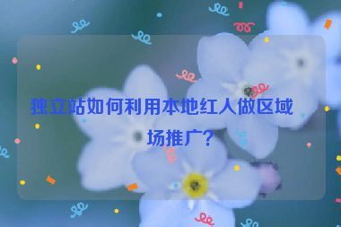 獨(dú)立站如何利用本地紅人做區(qū)域市場(chǎng)推廣？
