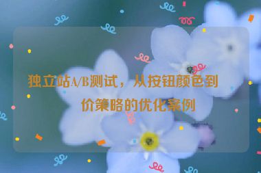 獨立站A/B測試，從按鈕顏色到定價策略的優(yōu)化案例