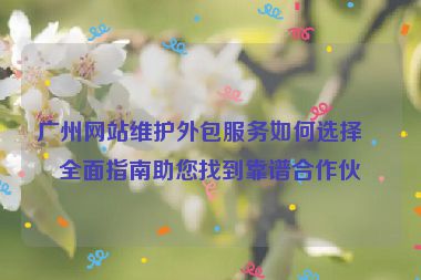 廣州網(wǎng)站維護(hù)外包服務(wù)如何選擇？全面指南助您找到靠譜合作伙伴