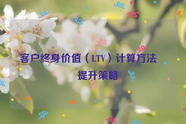 客戶終身價(jià)值（LTV）計(jì)算方法與提升策略