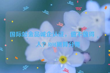 國際站金品誠企認(rèn)證，值不值得投入？ROI測算分析