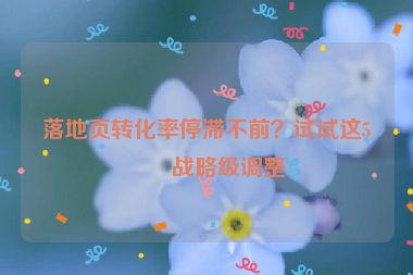 落地頁(yè)轉(zhuǎn)化率停滯不前？試試這5個(gè)戰(zhàn)略級(jí)調(diào)整