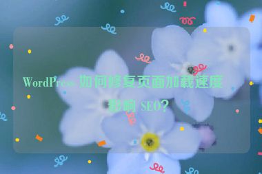 WordPress 如何修復(fù)頁(yè)面加載速度慢影響 SEO？