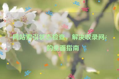 網(wǎng)站索引狀態(tài)檢查，解決收錄問(wèn)題的全面指南