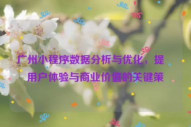 廣州小程序數(shù)據(jù)分析與優(yōu)化，提升用戶體驗與商業(yè)價值的關(guān)鍵策略