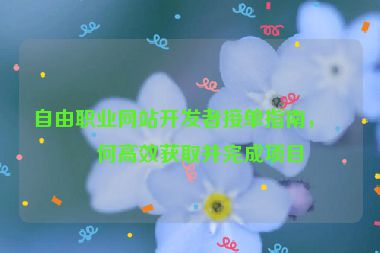 自由職業(yè)網站開發(fā)者接單指南，如何高效獲取并完成項目