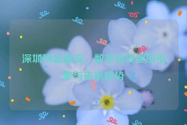 深圳網(wǎng)站建設(shè)，數(shù)字化轉(zhuǎn)型的引擎與未來趨勢(shì)