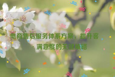 電商售后服務(wù)體系方案，提升客戶滿意度的關(guān)鍵策略