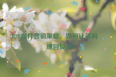 B2B郵件營銷策略，如何讓采購經理回復你？