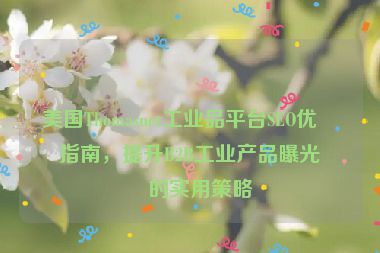 美國(guó)Thomasnet工業(yè)品平臺(tái)SEO優(yōu)化指南，提升B2B工業(yè)產(chǎn)品曝光率的實(shí)用策略