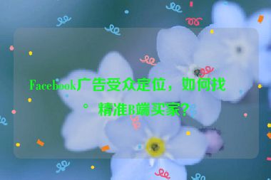 Facebook廣告受眾定位，如何找到精準(zhǔn)B端買(mǎi)家？