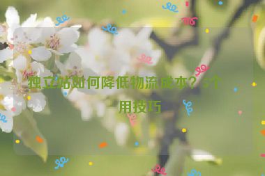 獨(dú)立站如何降低物流成本？5個(gè)實(shí)用技巧