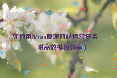 如何用Notion管理網(wǎng)站運(yùn)營(yíng)任務(wù)？附高效模板分享）
