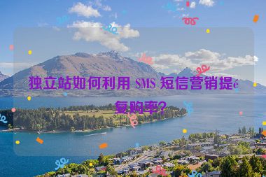 獨立站如何利用 SMS 短信營銷提高復購率？