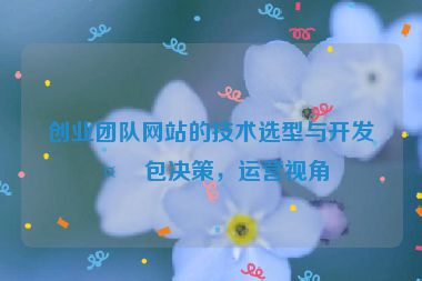 創(chuàng)業(yè)團(tuán)隊(duì)網(wǎng)站的技術(shù)選型與開發(fā)外包決策，運(yùn)營視角