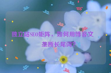 獨(dú)立站SEO矩陣，如何用博客文章壟斷長(zhǎng)尾詞？