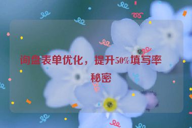 詢盤表單優(yōu)化，提升50%填寫率的秘密