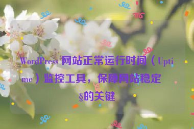 WordPress 網(wǎng)站正常運行時間（Uptime）監(jiān)控工具，保障網(wǎng)站穩(wěn)定性的關(guān)鍵