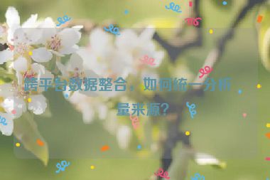 跨平臺數(shù)據(jù)整合，如何統(tǒng)一分析流量來源？