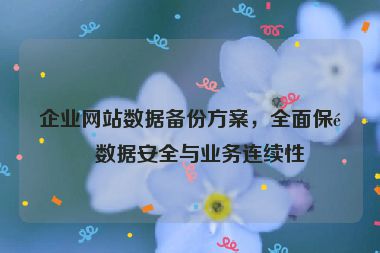 企業(yè)網(wǎng)站數(shù)據(jù)備份方案，全面保障數(shù)據(jù)安全與業(yè)務(wù)連續(xù)性