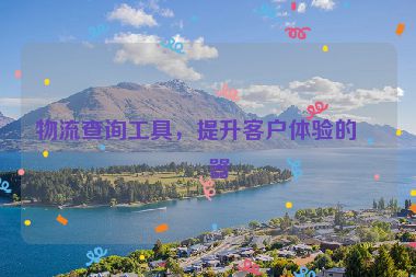 物流查詢工具，提升客戶體驗的利器