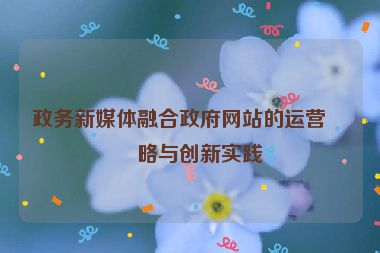 政務新媒體融合政府網站的運營策略與創(chuàng)新實踐