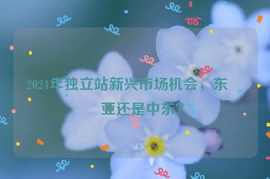 2024年獨立站新興市場機會，東南亞還是中東？