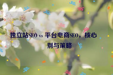 獨立站SEO vs 平臺電商SEO，核心區(qū)別與策略