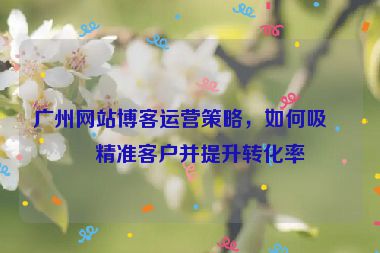 廣州網(wǎng)站博客運(yùn)營(yíng)策略，如何吸引精準(zhǔn)客戶并提升轉(zhuǎn)化率