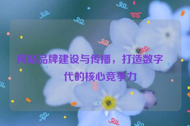網(wǎng)站品牌建設(shè)與傳播，打造數(shù)字時代的核心競爭力